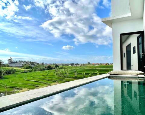 3. Luxury Designer Apartment with pool