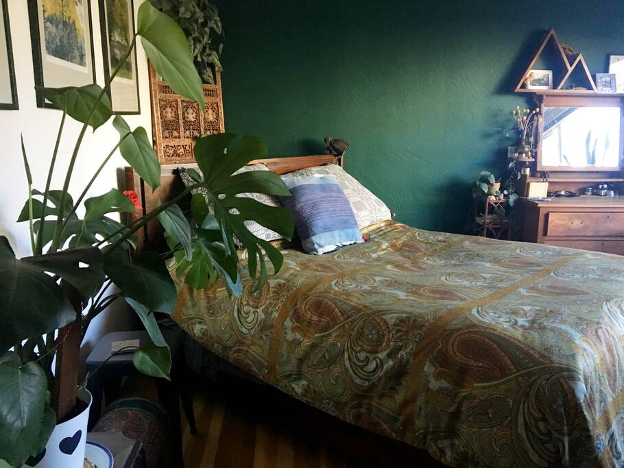 Lots of plant life