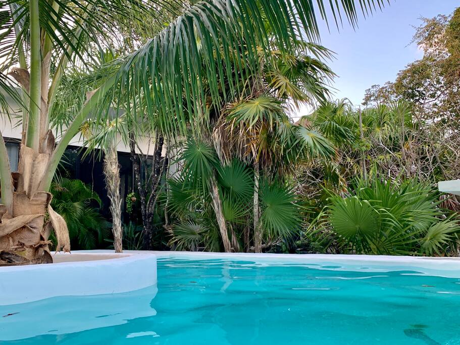 Modern Mayan  Chic Home - 툴룸의 주택에서 살아보기, Quintana Roo, 멕시코