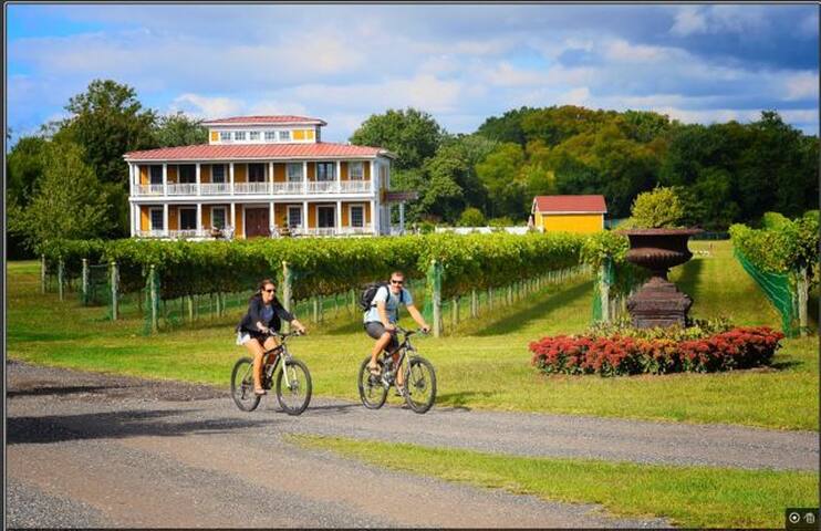 Willow Creek Vineyard Malvasia Cottage