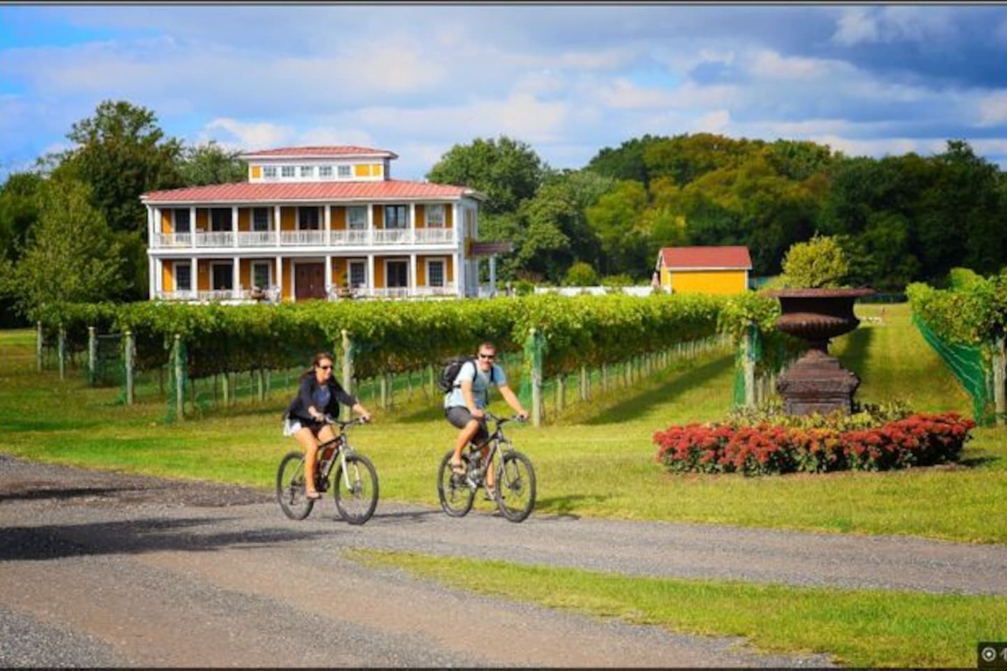 Willow Creek Vineyard Malvasia Cottage Apartments for Rent in West