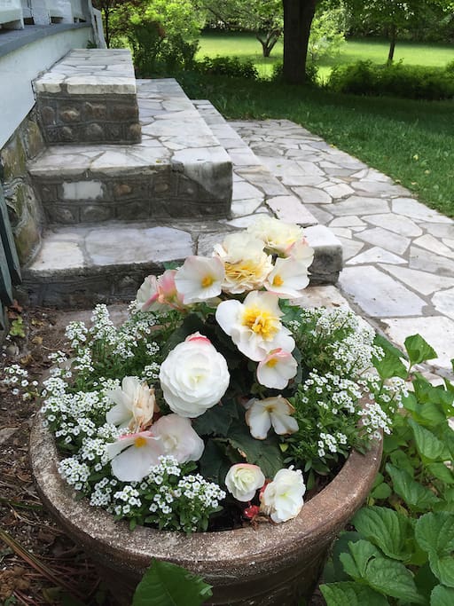 Famous for its marble quarries, this area of Vermont reveals its treasure to welcome you at Artmaker Farm.