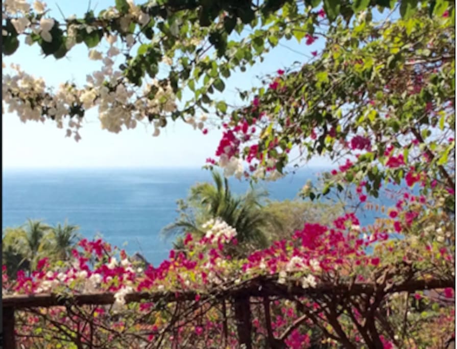 View to Ocean from House