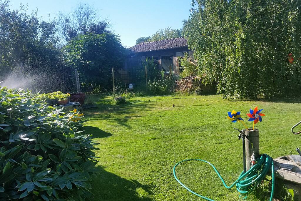 Jardin / Garden