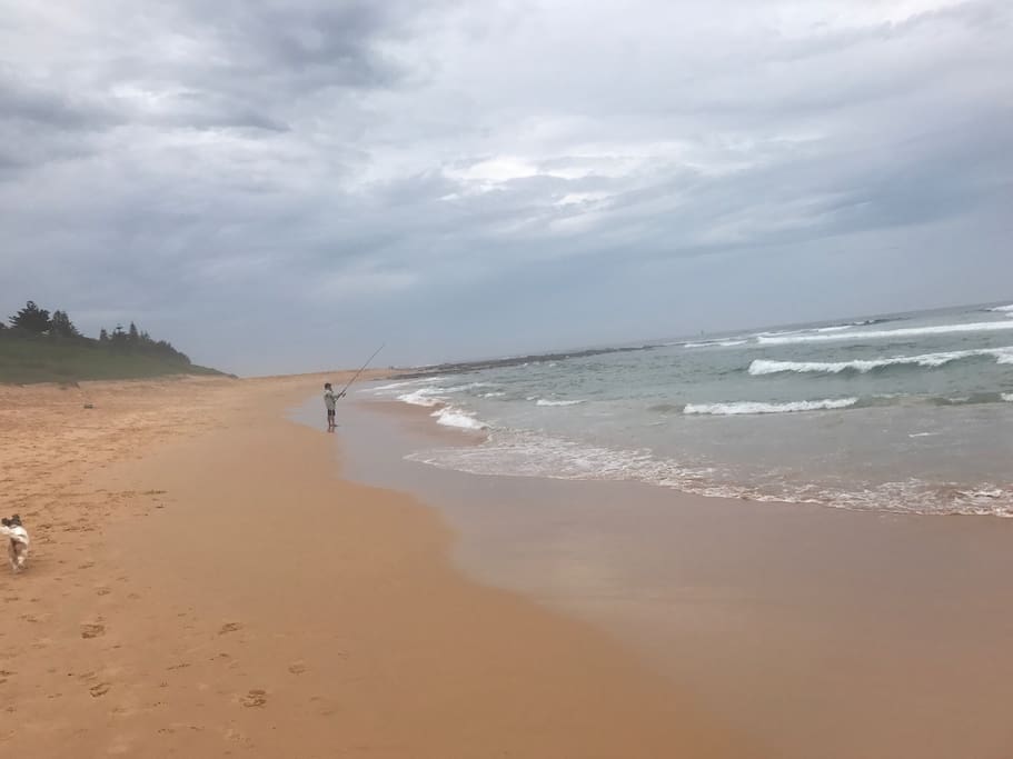 North Shelly beach