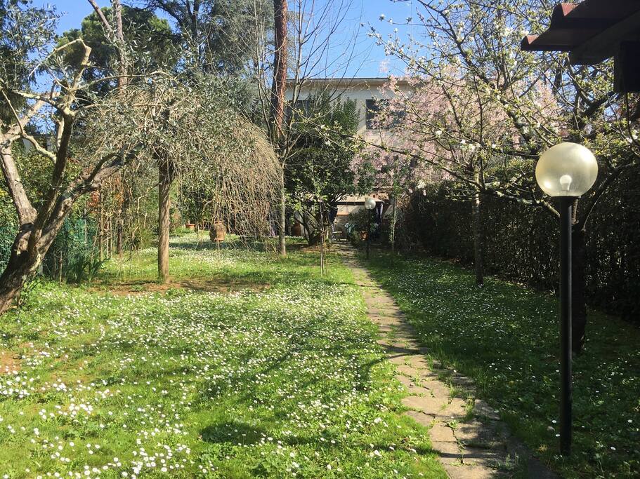House's garden