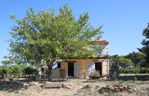 the house in the vineyards