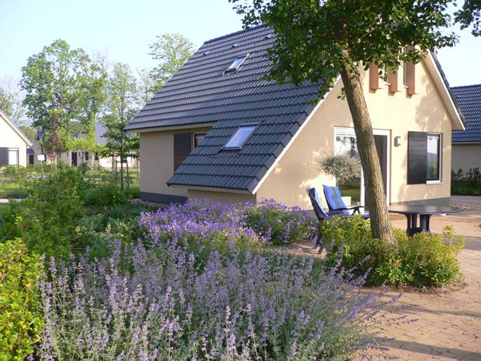 A charming holiday home is nestled amidst vibrant purple flowers in a landscaped garden. Sunlight spots the exterior, highlighting the sloped roof and multiple windows. Outdoor seating is arranged nearby, enhancing the tranquil setting surrounded by trees and greenery.