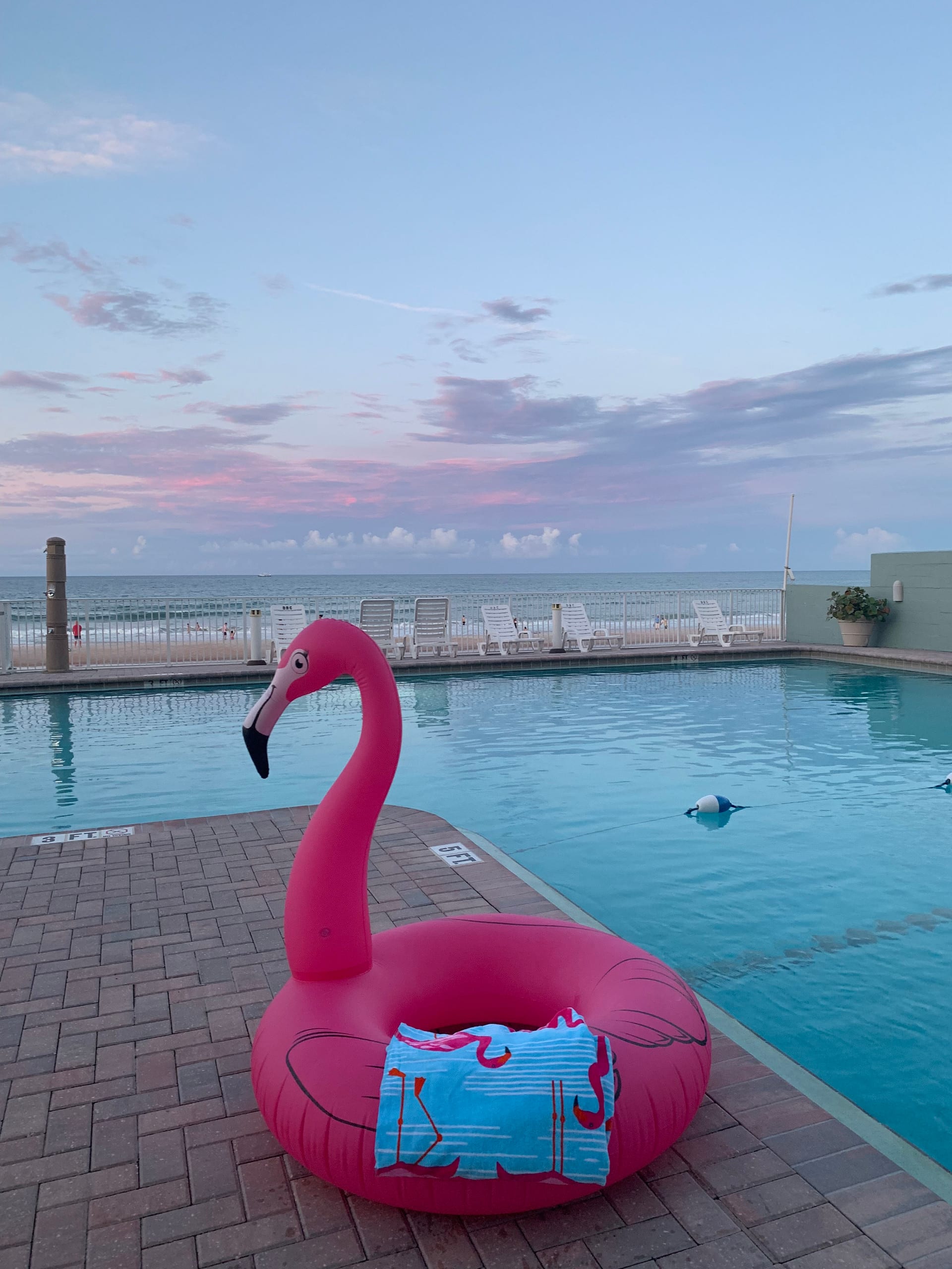 Flamingo beachfront condo WITH NEW POOL