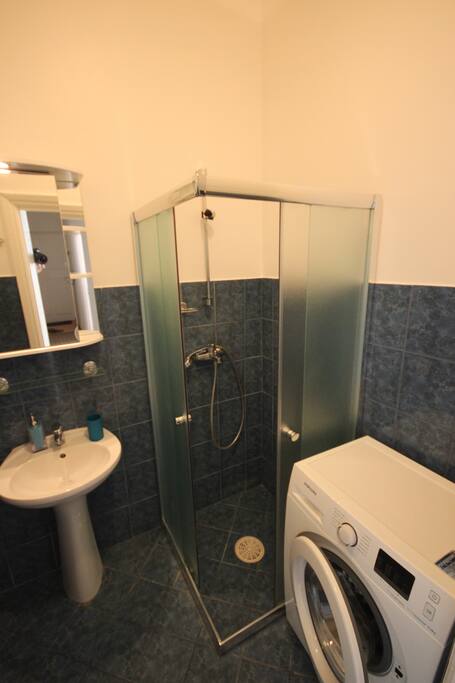 Bathroom is equipped with a washing machine and a shower.