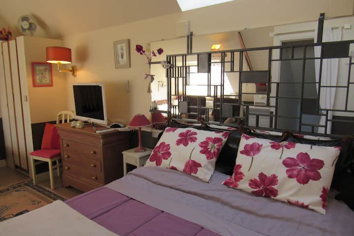 تلفزيون في منطقة صالة المساء