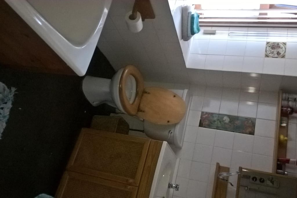 Bath or shower , bathroom opposite guest room.