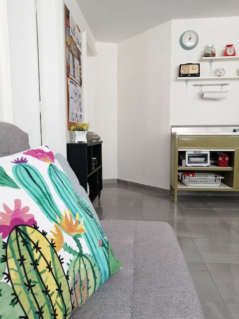 Top performing Airbnb: Historic Downtown 1-Bedroom Apartment in Centro Histórico