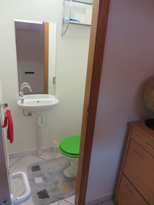downstairs Toilet