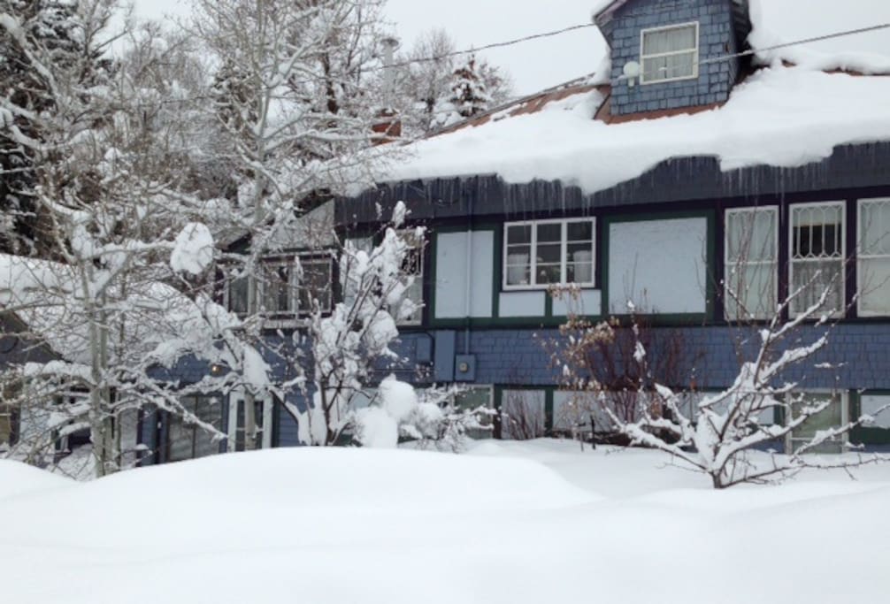 Pine Street view
Winter wonderland