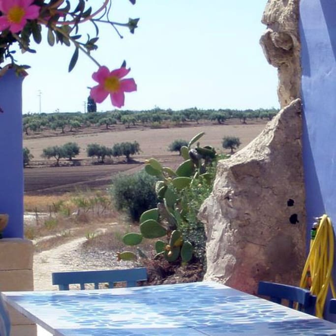 vista dalla veranda