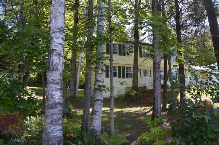 The Birches (location, location, location)