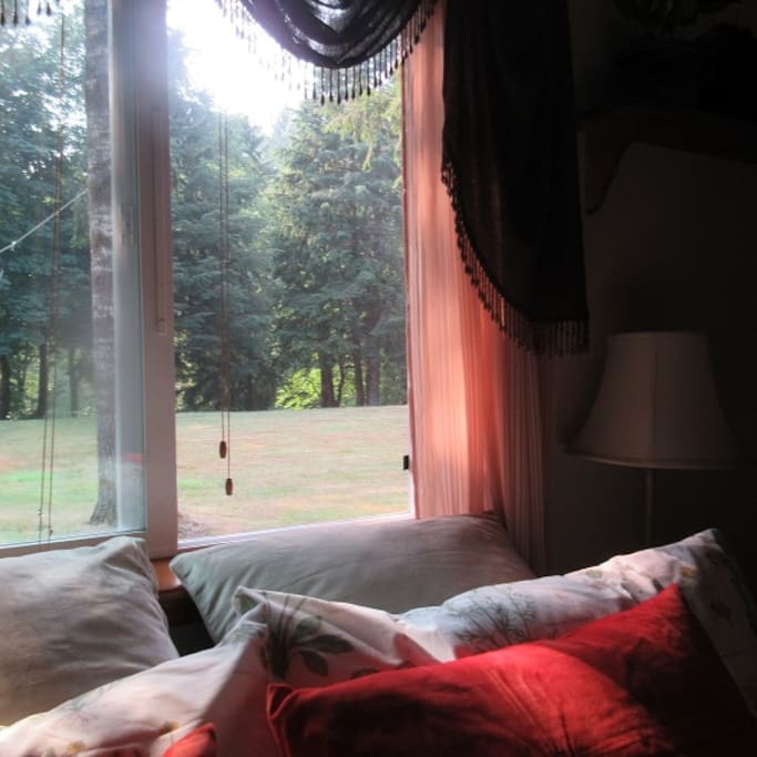 A Serene View