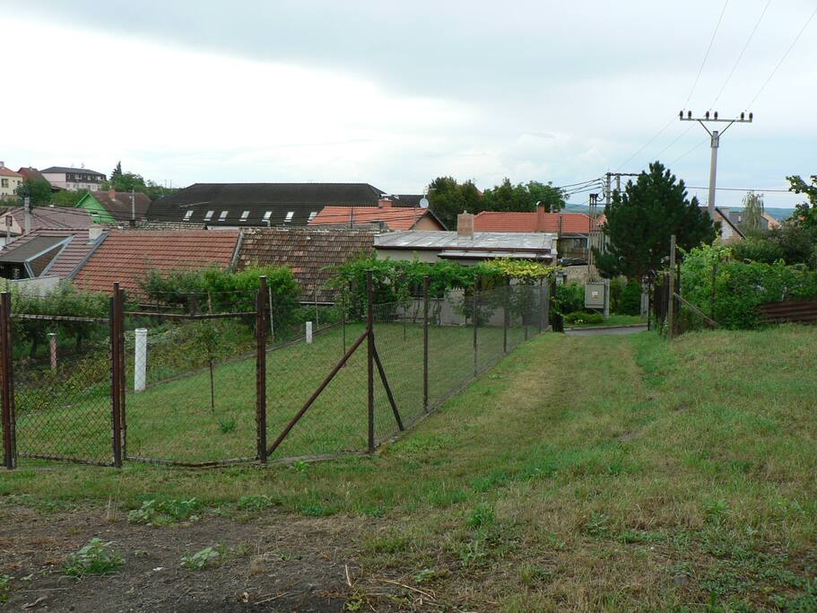 Zahrada