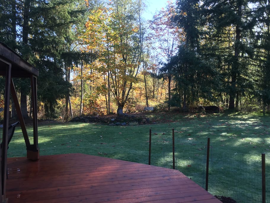 Looking toward the river-path from the deck