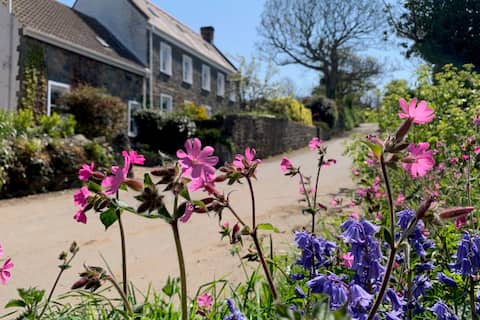 1 Bed Self Contained Annex in Rural Valley