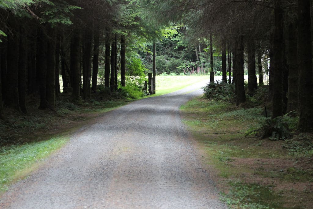Driveway