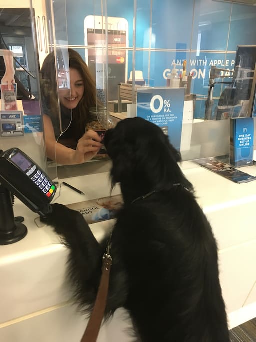 Happy dog