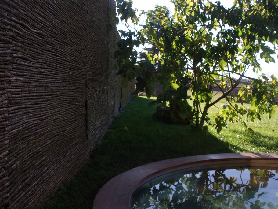 jardín y pequeña piscina