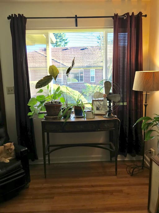 Large windows to let in the morning light.