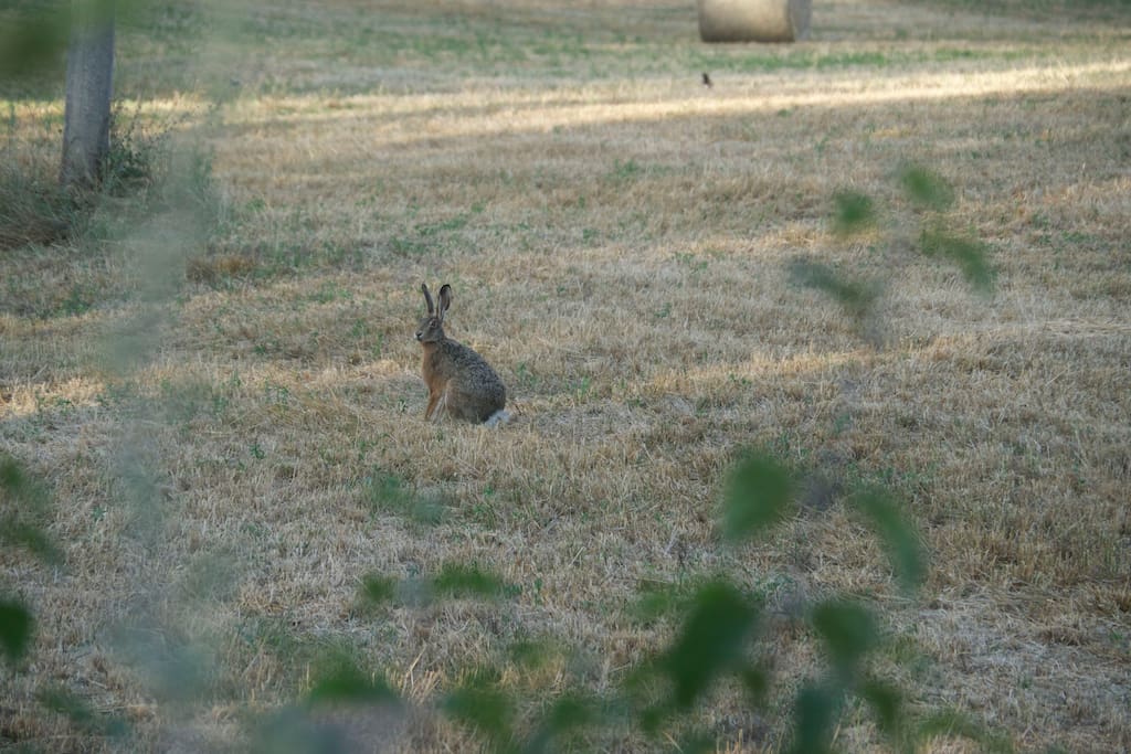 la natura incontaminata intorno a casa