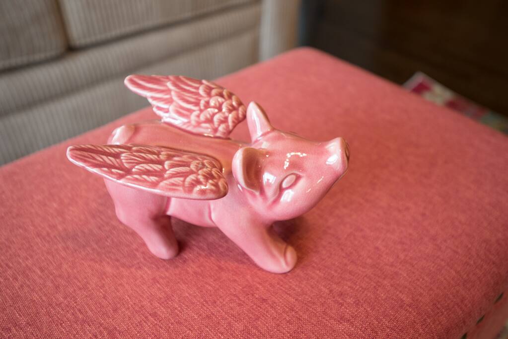 Flying Pig