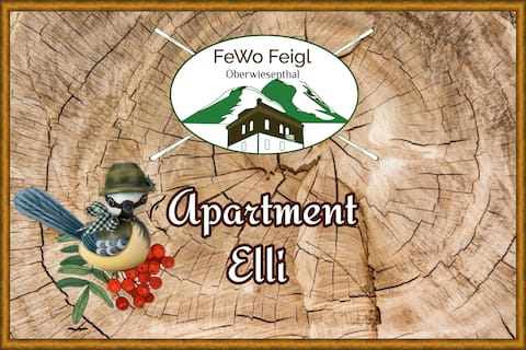 Top performing Airbnb: Apartment ELLI 20qm - FeWo Feigl | 1-2 Personen in Oberwiesenthal