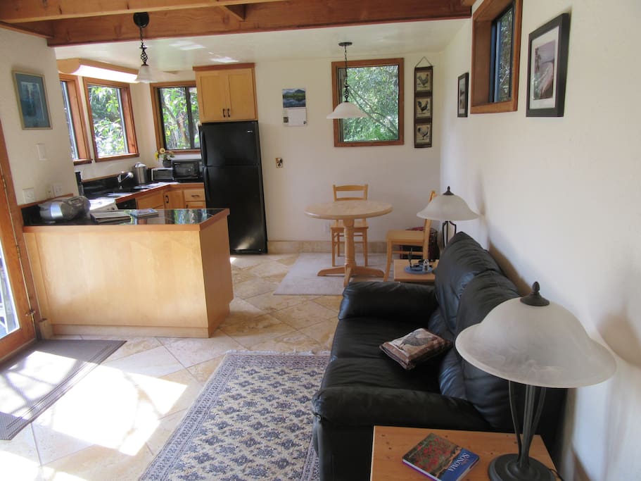 livingroom/kitchen area
