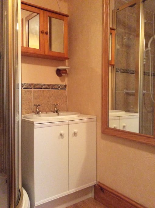 Sink cabinet and long mirror switches for shower and extractor fan under sink