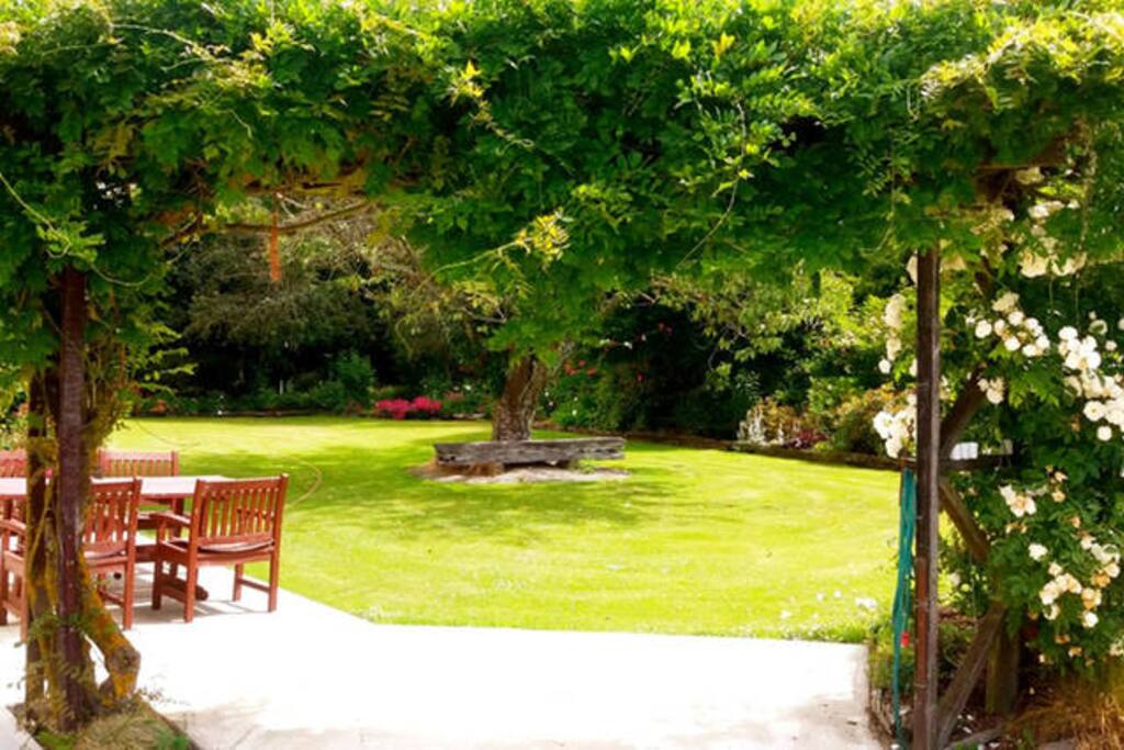 Our lovely garden in the front.