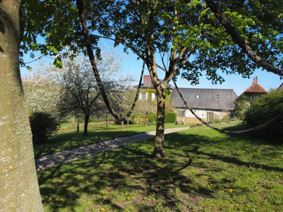 tuin met klimtouw tussen de bomen