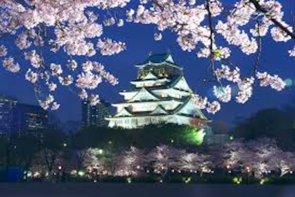 Since go Osaka Castle also to walk, it is just good for a walk! !由于去大阪城也走,这是散步刚刚好! !오사카도 걸어 갈 수 있으므로 산책 그냥 좋다! !
