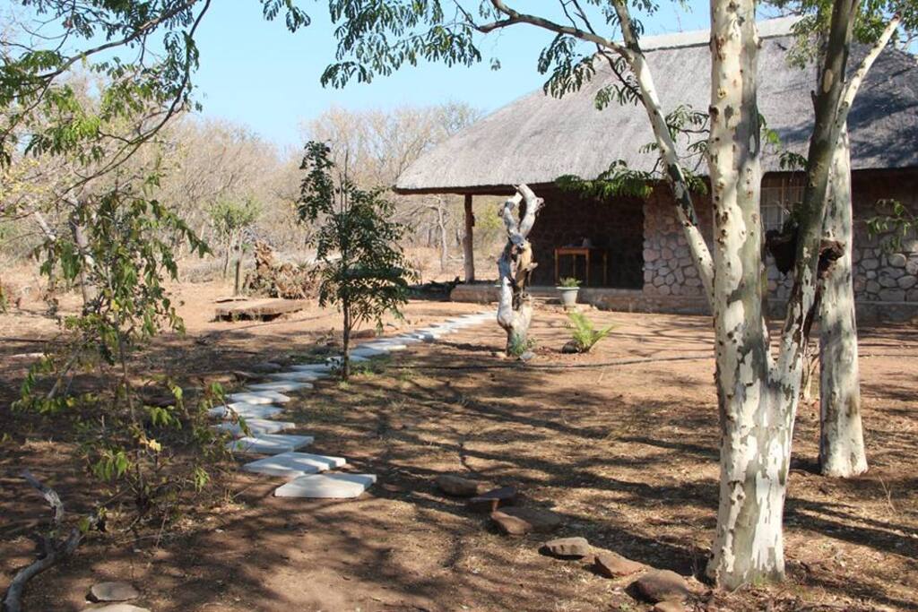 Zebra cottage
