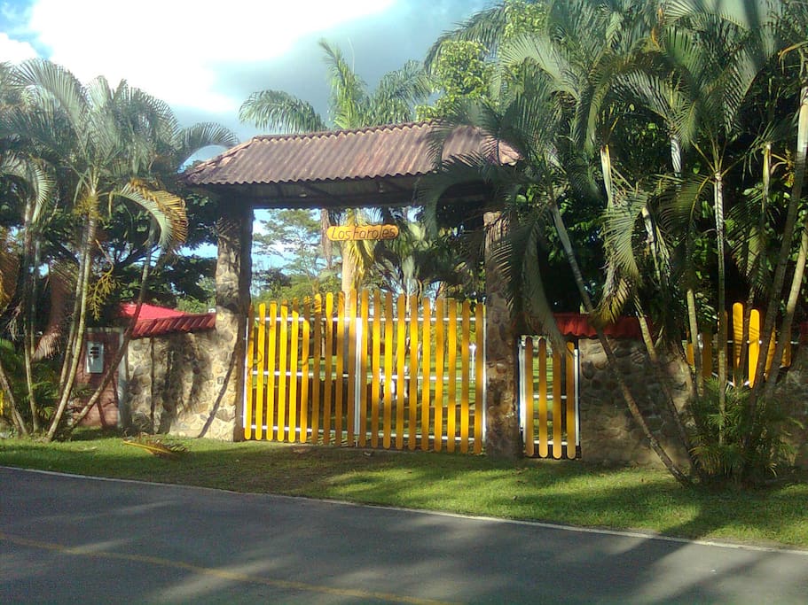 Portada