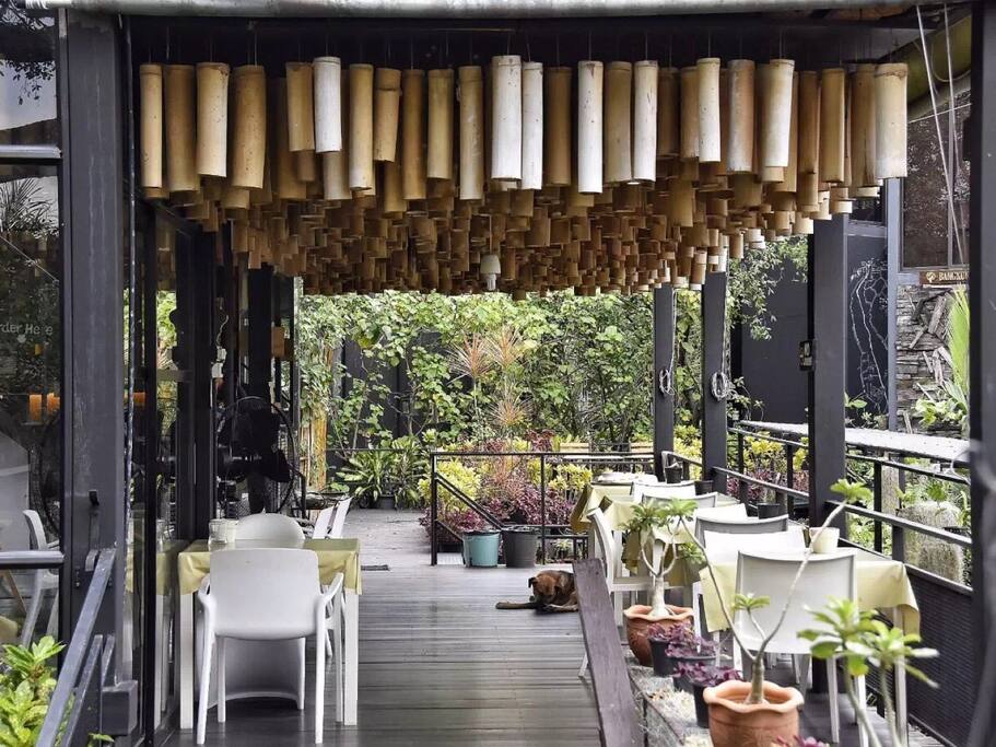 河畔绿岛设计感十足的树屋餐厅