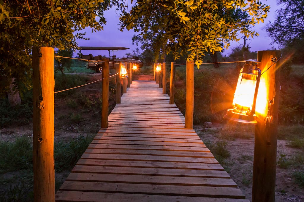 Amani Safari Camp boasts a lantern lit “welcome-bridge” akin to Hollywood’s red carpet.
