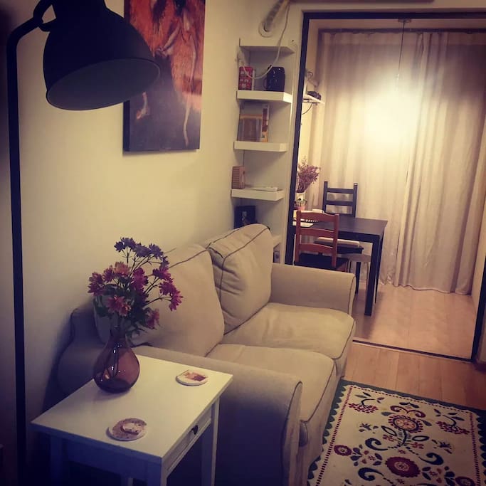 Cozy room at night. 晚上的客厅