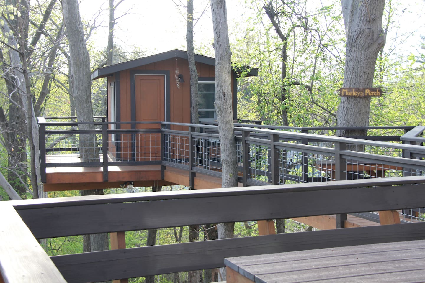 the Monkey's Perch treehouse in New Jersey