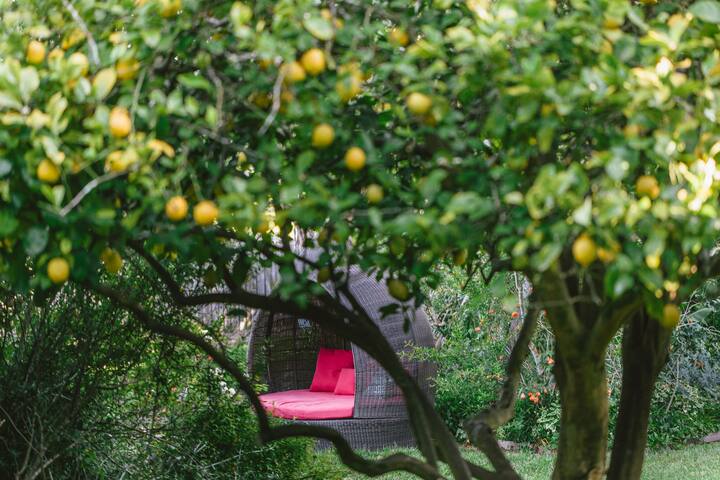 Riverdale – A Tranquil oasis in the Yarra Valley gallery image 5