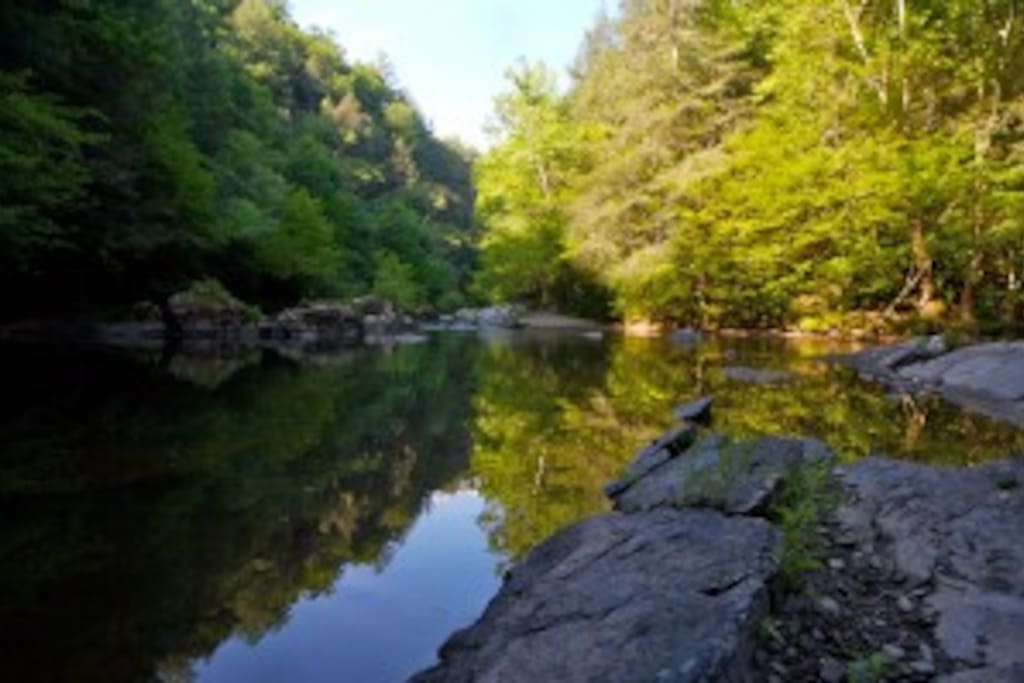 The Swimming Hole