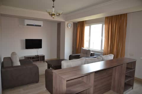 Newly Updated Apartment near City Center