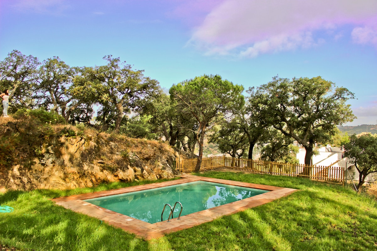 A swimming pool is located in a natural setting, surrounded by lush greenery and trees. The pool features a smooth stone border and steps leading into the water. A wooden fence encloses part of the area, providing a sense of privacy within the landscape.