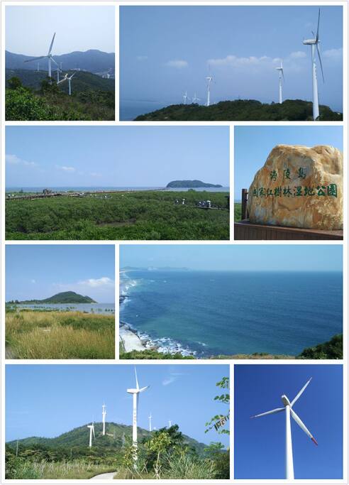红树林,风车山,观海平台