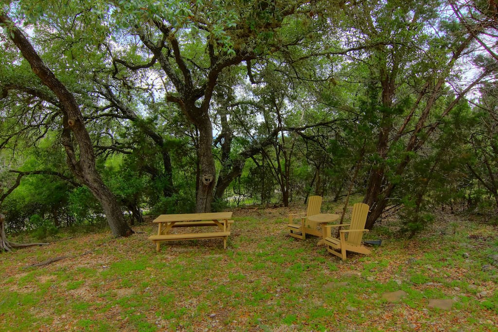 Bench,Chair,Furniture,Tree,Forest
