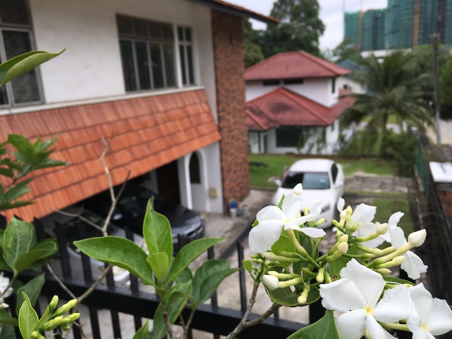 View of Porch and Driveway